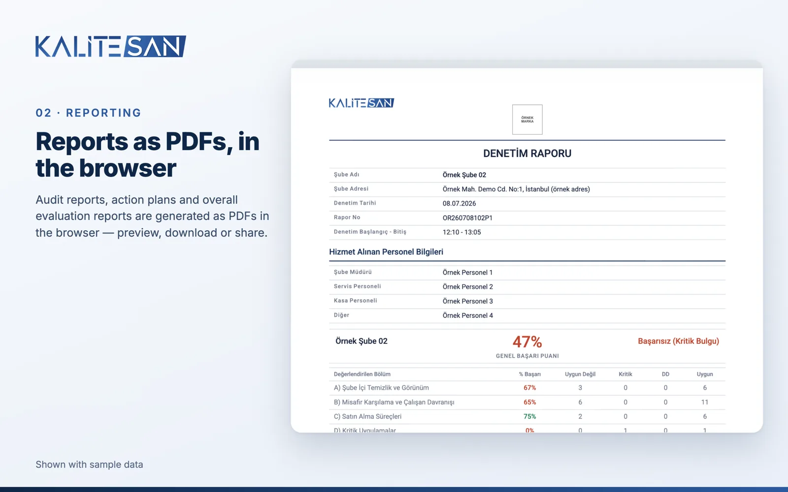 Audit report PDF preview